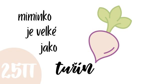 25. týden těhotenství. Jak vypadá miminko?