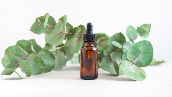 V těhotenství můžete použít také homeopatické léčivé přípravky.