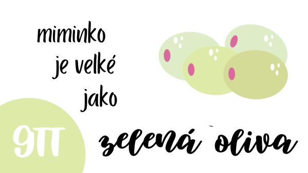 Jak velké je miminko v 9. týdnu těhotenství?