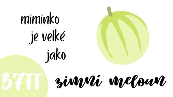 Jak vypadá miminko v 37. týdnu těhotenství?