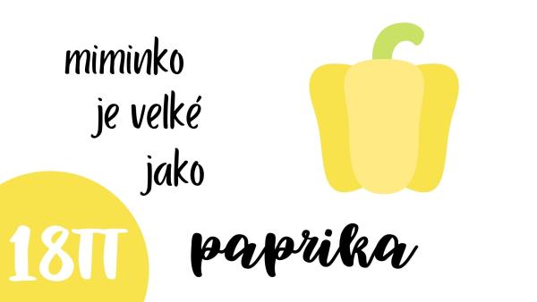 V 18. týdnu těhotenství je miminko velké jako paprika.