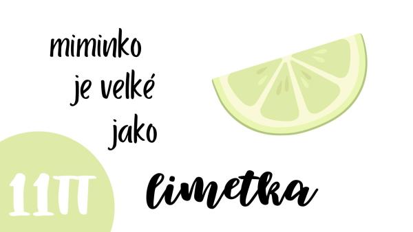 Jak vypadá miminko v 11. týdnu těhotenství?