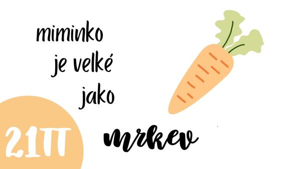 Jak velké je miminko ve 22. týdnu těhotenství?