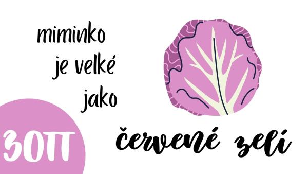 Jak vypadá miminko ve 30. týdnu těhotenství?