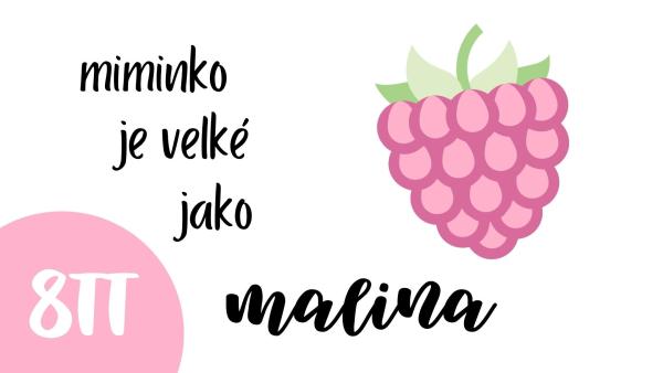 Jak vypadá miminko v 8. týdnu těhotenství?