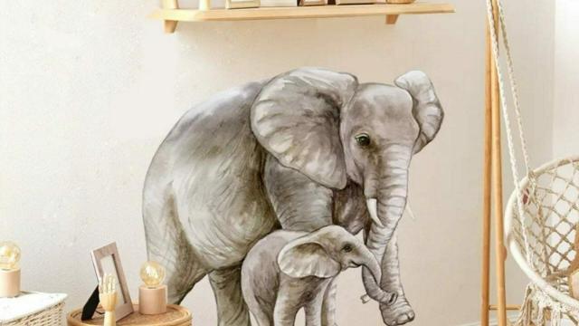 Samolepka na zeď - sloni