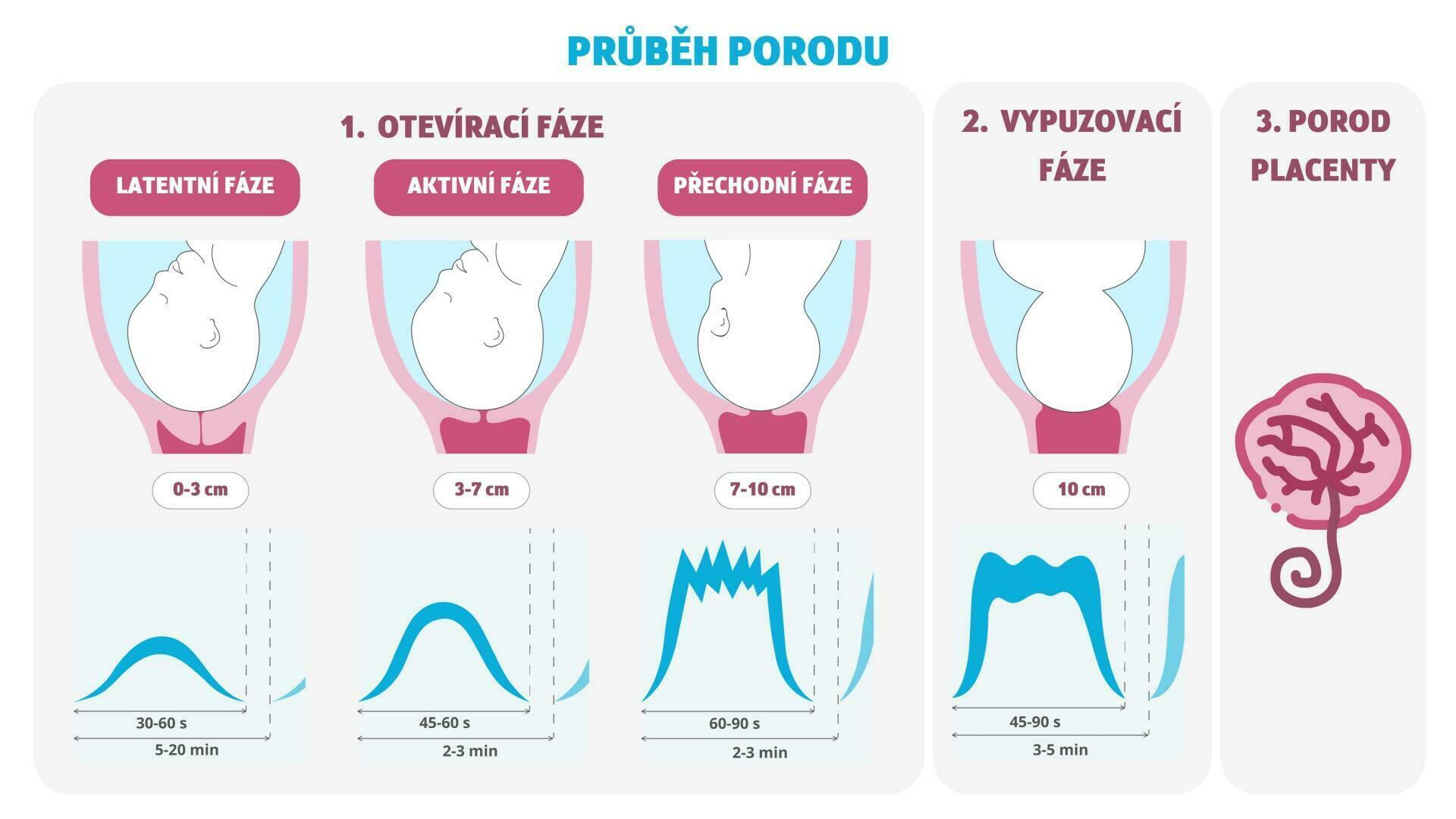 Jak dlouho od prvnich kontrakcí k porodu?