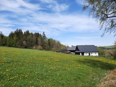 BŘEZINY