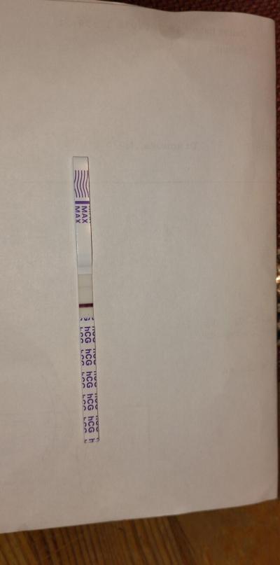 Snažení | IUI 2024