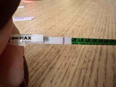 Testování a těhotenský test | První testy - Prosím o radu