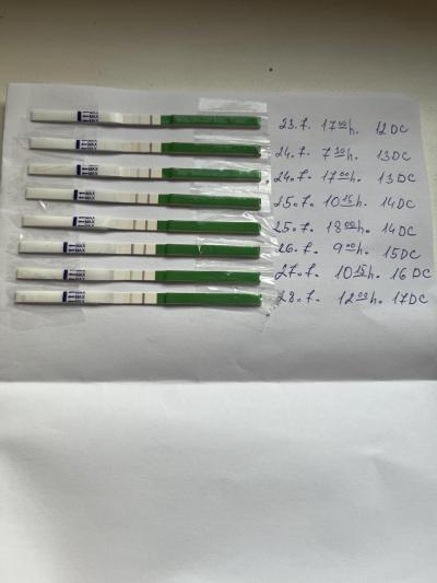 Snažení | Pokles BT 3DPO-5DPO