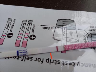 Testování a těhotenský test | Tt v den očekávané ms duch?