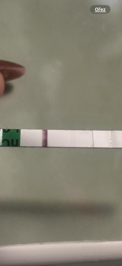 Testování a těhotenský test | Dva falešné testy?