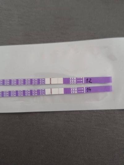 Testování a těhotenský test | Aký ste mali test na 14 DPO?