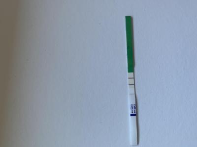 Snažení | Žluté tělísko, ale ovulace ještě neproběhla, jak je to možné ?