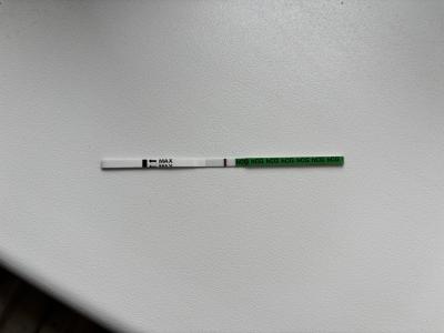 Testování a těhotenský test | Vidíte tu ducha ?