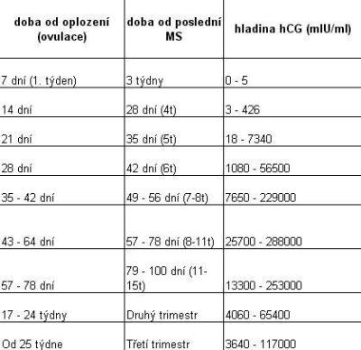 Těhotenství | Hladina HCG 5. tt