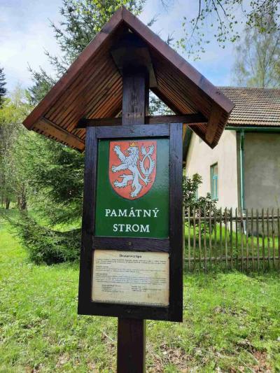 BŘEZINY