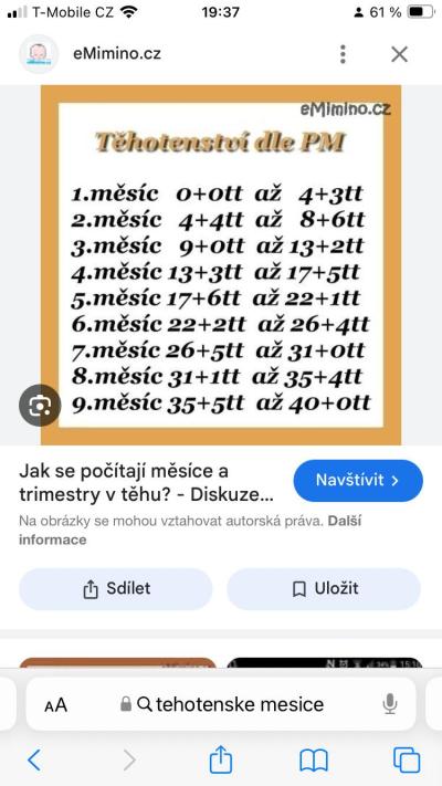Těhotenství | Kolikátý týden nebo měsíc jsem?