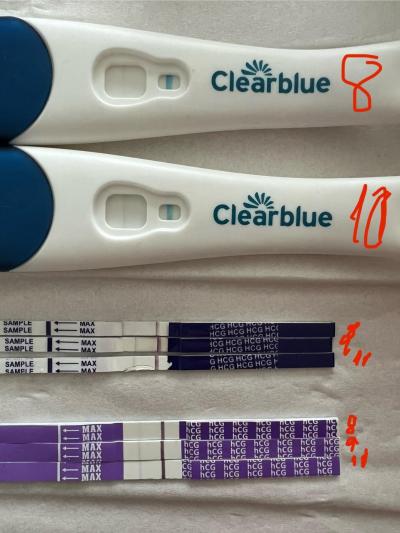 Centra asistované reprodukce | IVF srpen 2024