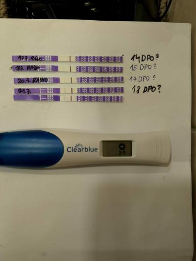 Testování a těhotenský test | Myslíte, že to vypadá dobře?