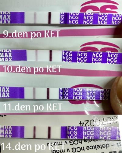 Centra asistované reprodukce | KET prosinec 2024