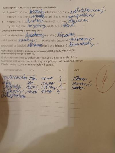 Školák | Známkování testu