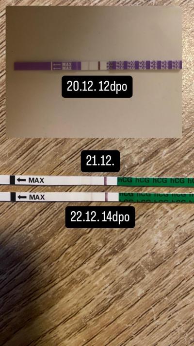 Testování a těhotenský test | Aký ste mali test na 14 DPO?