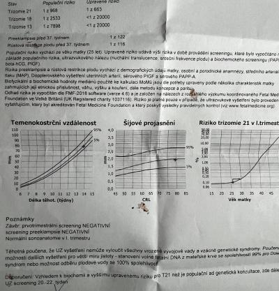 Těhotenství | Výsledky z prvního screeningu