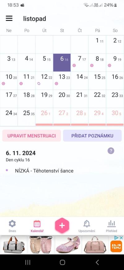 Snažení | Snažení v listopadu před ovulací
