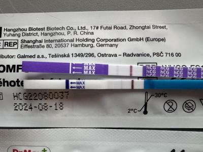 Testování a těhotenský test | Těhotenský test, duch