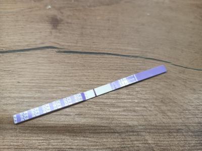 Testování a těhotenský test | Dlohodobě nesílíci duch na testech