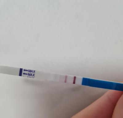 Testování a těhotenský test | Dr.Max test duch 4 dny před menstruací?