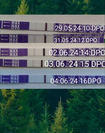 Testování a těhotenský test | Stejný duch už 3 dny