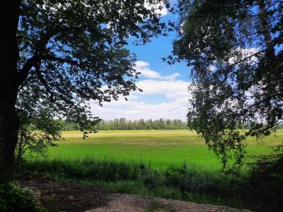 SOBÍŇOV