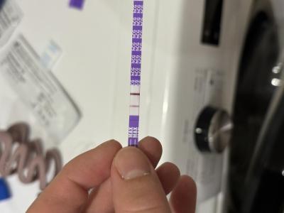 Testování a těhotenský test | Těhotenství neno cysta?