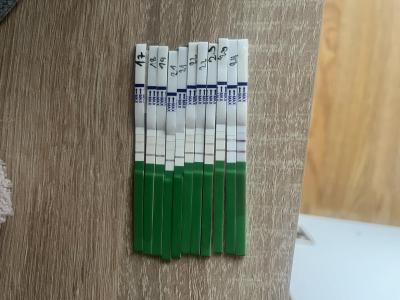 Testování a těhotenský test | Pozitivni ovulacni test (pozde?)