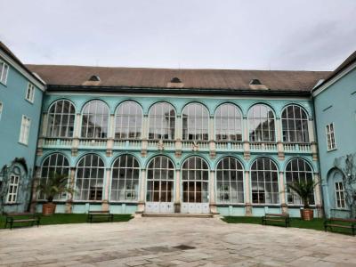 DAČICE