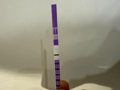 Testování a těhotenský test | Duch na těhotenském testu před menstruací