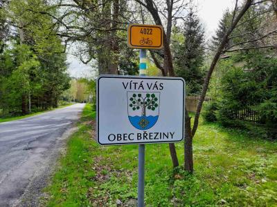 BŘEZINY