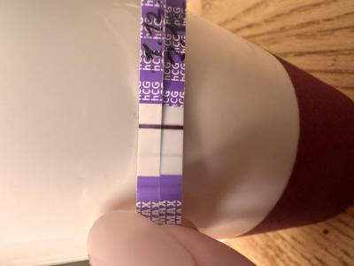 Testování a těhotenský test | 8 DPO a těhotenský test