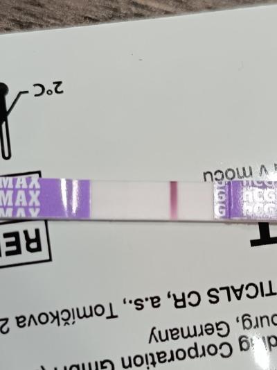 Testování a těhotenský test | Druhá // nebo ryska?