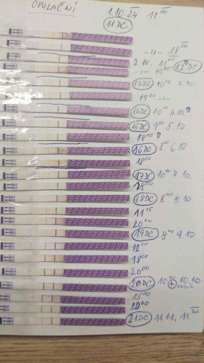 Snažení | Jak si správně udělat první ovulační test?