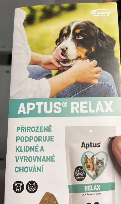 Zvířata | Co na stres pro psa
