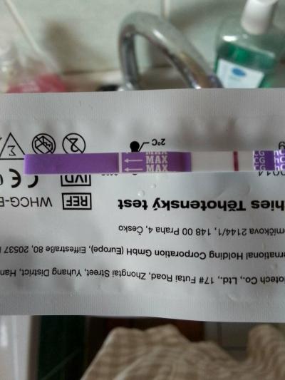 Testování a těhotenský test | Těhotenský test - duch/ neduch?