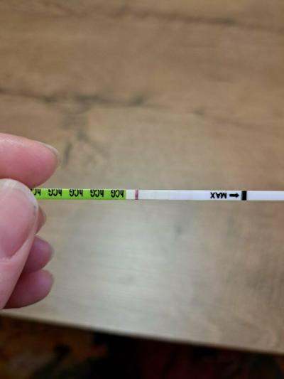 Testování a těhotenský test | Testování 9dpo