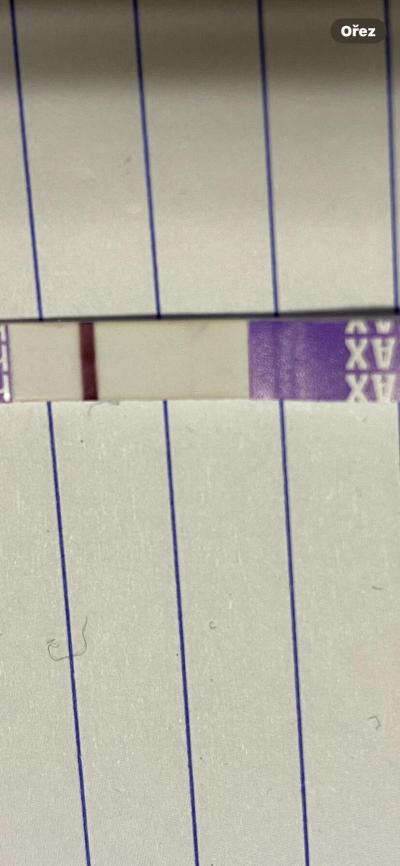 Testování a těhotenský test | Duch na testu intimed, první test