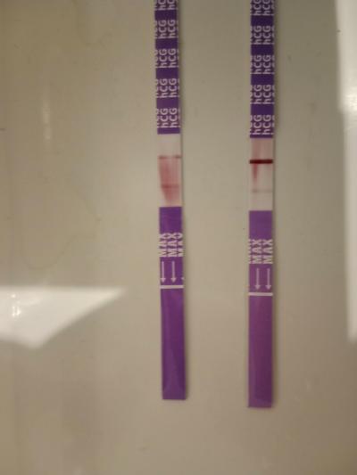 Testování a těhotenský test | Tt test intimed, duchaří?