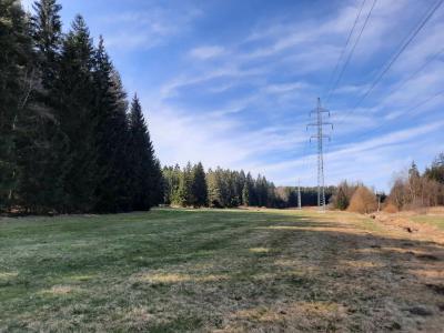 PROCHÁZKA 18.3.2024