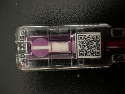 Těhotenství | Krevní test Innova Pharma